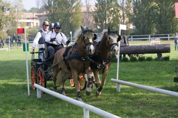 redini lunghe porto corsini 1