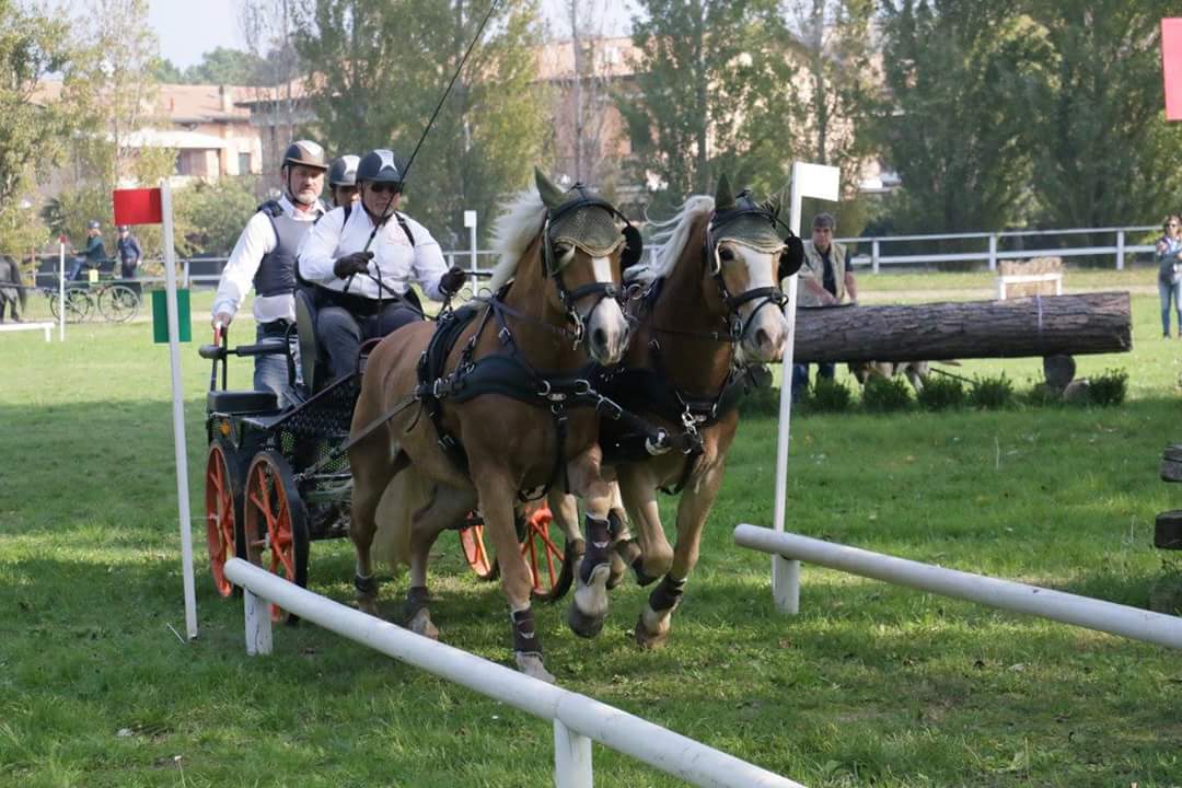 Trec Attacchi, i Campioni delle Redini Lunghe 1 redini lunghe porto corsini