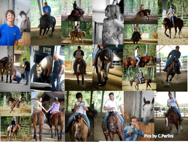 reining emila romagna