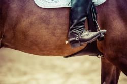 FEI World Cup in Lyon the pick of the weekend events. 1 reiter 5 2