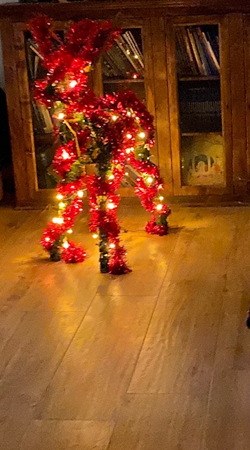 Christmas 2020: la favola di Natale 1 renna