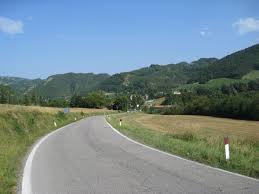 Equestrian World: road accident in Sardinia causes the death of a horse. 1 road 1