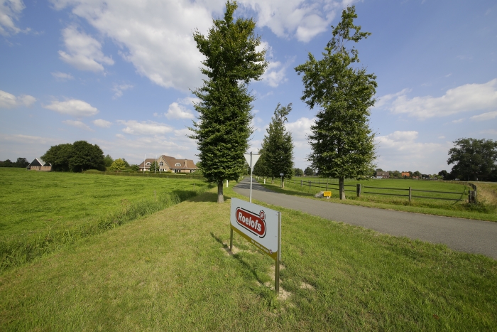 Stal Roelofs up for sale 1 roelofs 1