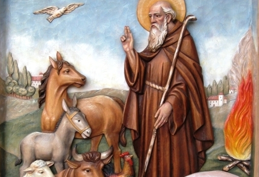 Benedetti in Vaticano cavalli e animali domestici,la storia di Sant'Antonio Abate protettore degli allevatori e dei loro animali 1 s.antonio 1