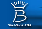 sBs 2