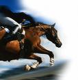 salto 1