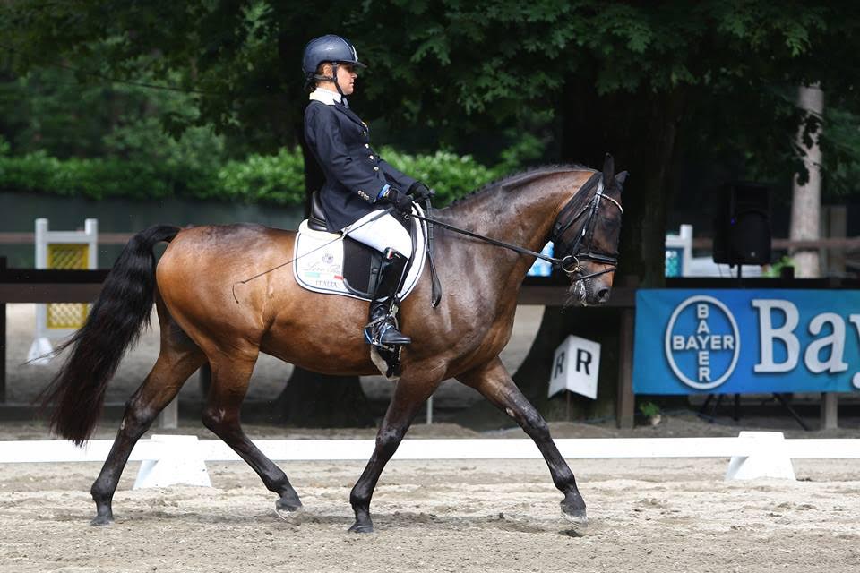 Para-dressage Casorate: Italia profeta in patria 1 salvade casorate