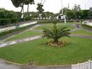 san rossore 1 1