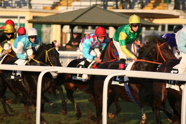 Le corse del 14 febbraio San Rossore 2016 -14^ giornata- 1 san rossore 2 1