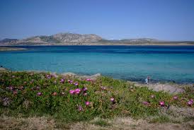 sardegna 1