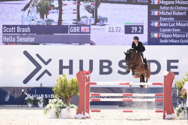 scott brash hello senator