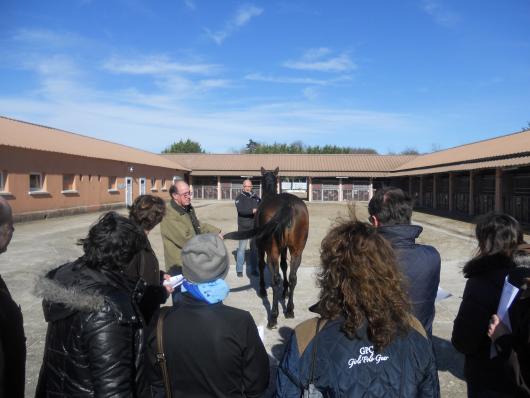 St-Lo Stallion Show a great success 1 seminario 1