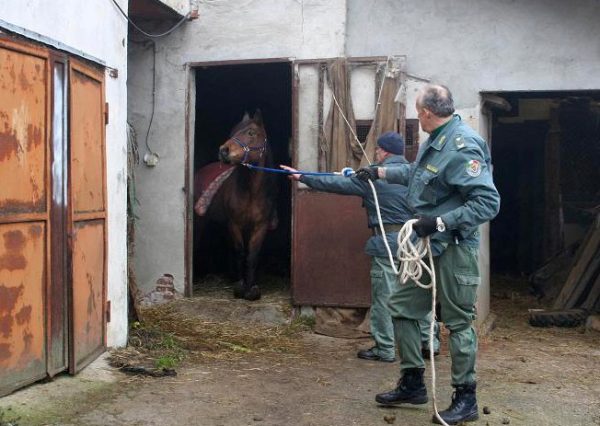 sequestro