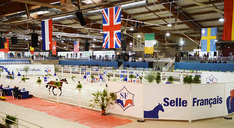 CSI3* Saint-Lo: prima giornata dedicata all'allevamento, oggi la prima prova qualificante per il Grand Prix. 1 sf 6