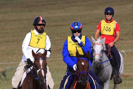 sp12fe horse racing web 1