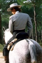 spagnolo 1