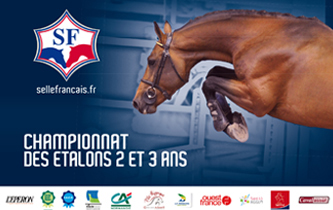 Great sport and breeding event in Saint-Lo 1 st lo 1