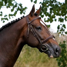 stallone salto Hickstead Eric Lamaze KWPN q