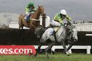 steeple chase 1