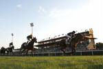 steeple chase a capannelle 1