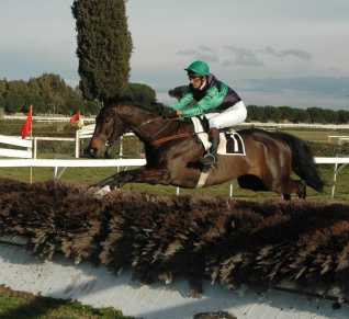 steeplecross 1