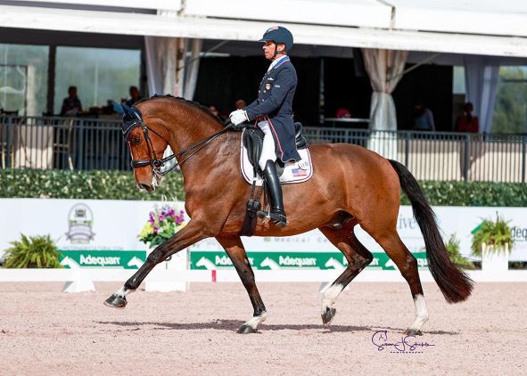 Dressage: Peters e Akiko Yamazaki e il castrone KWPN 2008 vincono con il 75.766%. 5 steffen petters e suppenkasper foto Susan Stickers