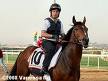 Ippica: Signorinasilvani terza a Saint-Cloud. Festeggia la Razza Del Crati. 1 stephane pasquier 1 1
