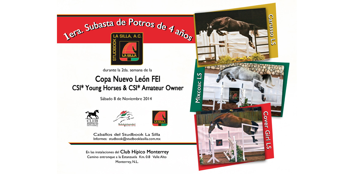 The results from the La Silla CSI* and CSIYH*. 1 subasta 1