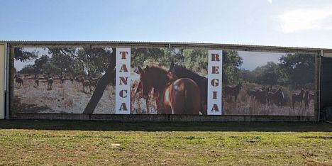 tanca regia