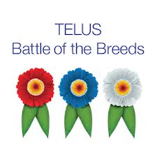 CSIO5* Calgary: Battle of the Breeds 1 tbb 1