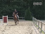 tecnica equestre pt33