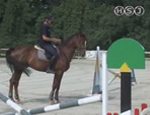 tecnica equestre pt34 0
