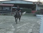 tecnica equestre pt37