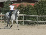 tecnica equestre 3
