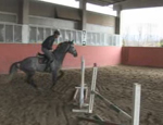 tecnica equestre 38 0
