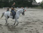 tecnica equestre 4