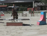 tecnica equestre 8 1