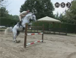 tecnica equestre 9