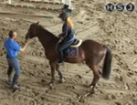 tecnica equestre pt 27
