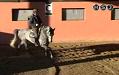 tecnica equestre pt 42 0