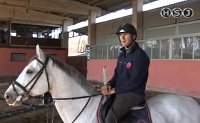 tecnica equestre pt 43