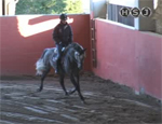 tecnica puntata 17