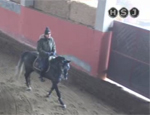 tecnica puntata 21