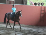 tecnica puntata 28