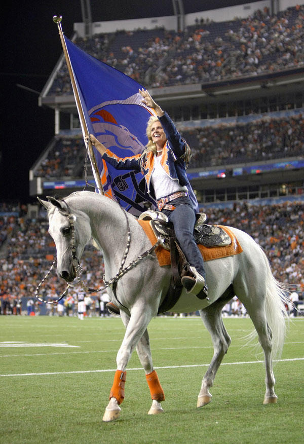 Eventi: Thunder il purosangue arabo e mascotte dei Denver Bronco's sarà in New Jersey a sostenere la sua squadra al Super Bowl. 1 thunder