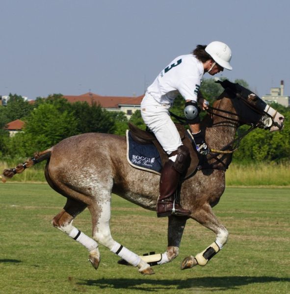 tn caschi003