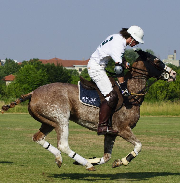 tn caschi003