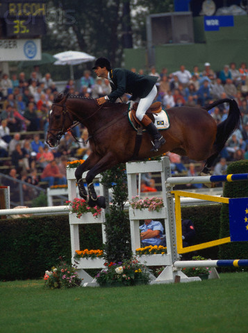 Scomparso il cavallo olimpico di Rodrigo Pessoa, Loro Piana Tomboy 1 tomboy
