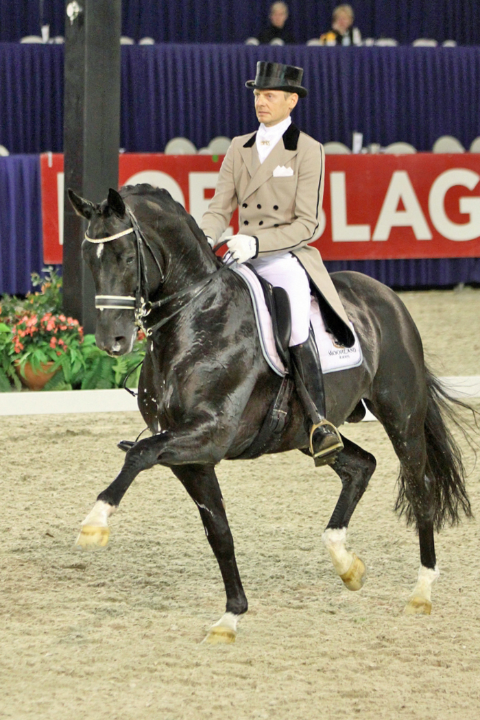 Dressage: a dicembre ad Ermelo la finale del campionato nazionale giovani cavalli 1 totilas 3