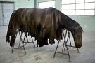 tragico cavallo